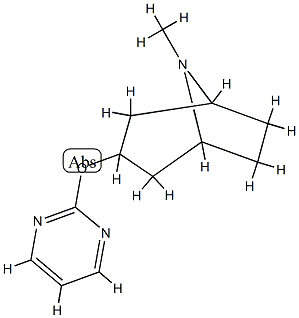 8-Azabicyclo[3.2.1]octane,8-methyl-3-(2-pyrimidinyloxy)-(9CI) CAS#: 812687-65-3