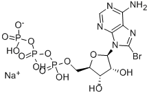 8-BROMO-ADENOSINE-5'-TRIPHOSPHATE, SODIUM SALT CAS#: 81035-56-5