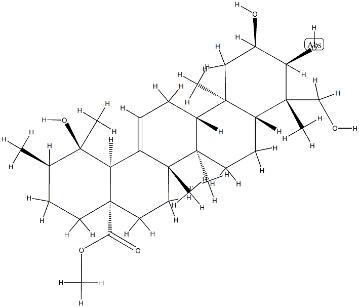 2α,3α,19,24-Tetrahydroxyurs-12-en-28-oic acid methyl ester CAS#: 89786-78-7