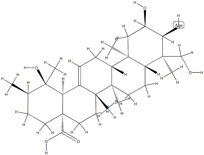 2α,3α,19,24-Tetrahydroxyurs-12-en-28-oic acid CAS#: 89786-84-5