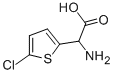 AMINO-(5-CHLORO-THIOPHEN-2-YL)-ACETIC ACID CAS#: 89379-87-3