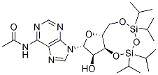 Adenosine, N-acetyl-3',5'-O-[1,1,3,3-tetrakis(1-Methylethyl)-1,3-disiloxanediyl]- CAS#: 828247-65-0