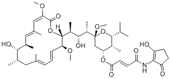 BAFILOMYCIN B2 CAS#: 88907-48-6