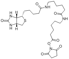 BIOTIN-XX-NHS CAS#: 89889-52-1