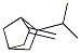 Bicyclo[2.2.1]heptane, 2-methylene-6-(1-methylethyl)-, exo- (9CI) CAS#: 89521-34-6