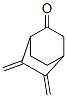 Bicyclo[2.2.2]octanone, 5,6-bis(methylene)- CAS#: 81825-45-8