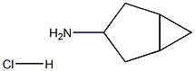 Bicyclo[3.1.0]hexan-3-amine hydrochloride CAS#: 89676-80-2