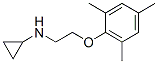 Cyclopropylamine, N-[2-(mesityloxy)ethyl]- (8CI) CAS#: 801150-52-7