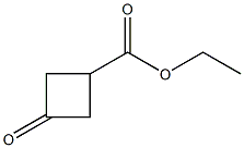 ETHYL 3-OXO CYCLOBUATNE CARBOXYLATE CAS#: 87121-89-9