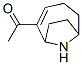 Ethanone, 1-(9-azabicyclo[4.2.1]non-2-en-2-yl)- (9CI) CAS#: 85514-42-7