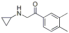 Ethanone, 2-(cyclopropylamino)-1-(3,4-dimethylphenyl)- (9CI) CAS#: 805184-87-6
