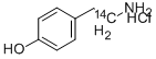 HYDROXYPHENYLETHYLAMINE HYDROCHLORIDE, [1-14C] CAS#: 80787-62-8