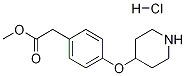 Methyl 2-[4-(4-piperidinyloxy)phenyl]acetatehydrochloride CAS#: 811813-40-8