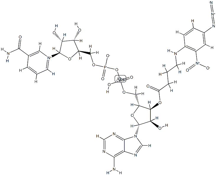 N-4-azido-2-nitrophenyl-4-aminobutyryl-NAD CAS#: 88255-98-5
