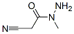 N1-METHYL-2-CYANOETHANOHYDRAZIDE CAS#: 89124-87-8