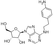 N6-2-(4-AMINOPHENYL)ETHYL-ADENOSINE CAS#: 89705-21-5