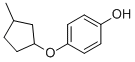 Phenol, 4-[(3-methylcyclopentyl)oxy]- (9CI) CAS#: 809236-49-5