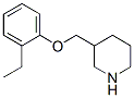 Piperidine, 3-[(o-ethylphenoxy)methyl]- (8CI) CAS#: 802037-46-3