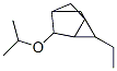 Tricyclo[2.2.1.02,6]heptane, 1-ethyl-3-(1-methylethoxy)- (9CI) CAS#: 80901-69-5