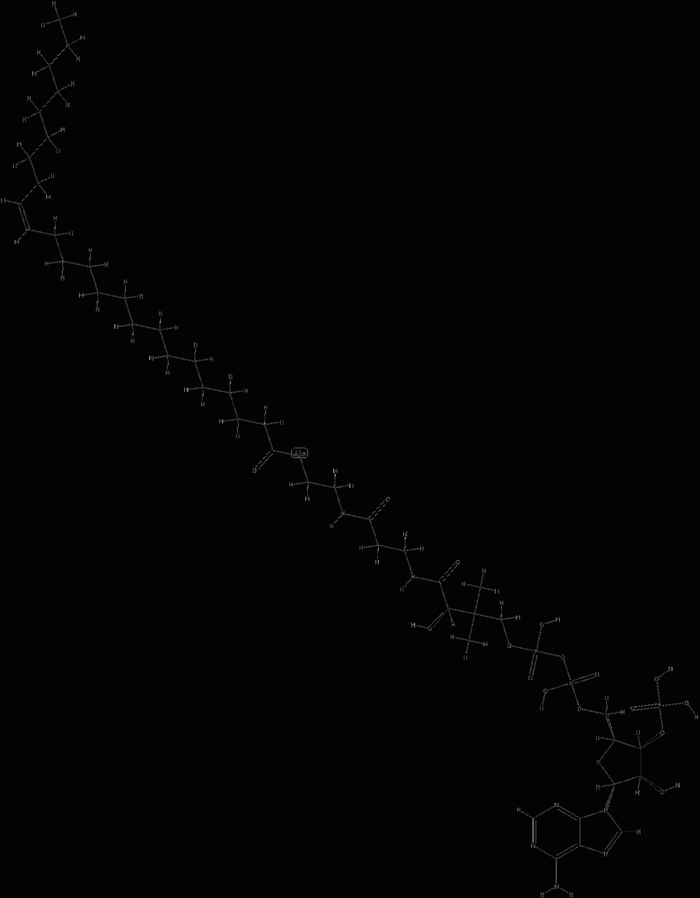 coenzyme A nervonyl derivative (C24:1) CAS#: 88362-35-0