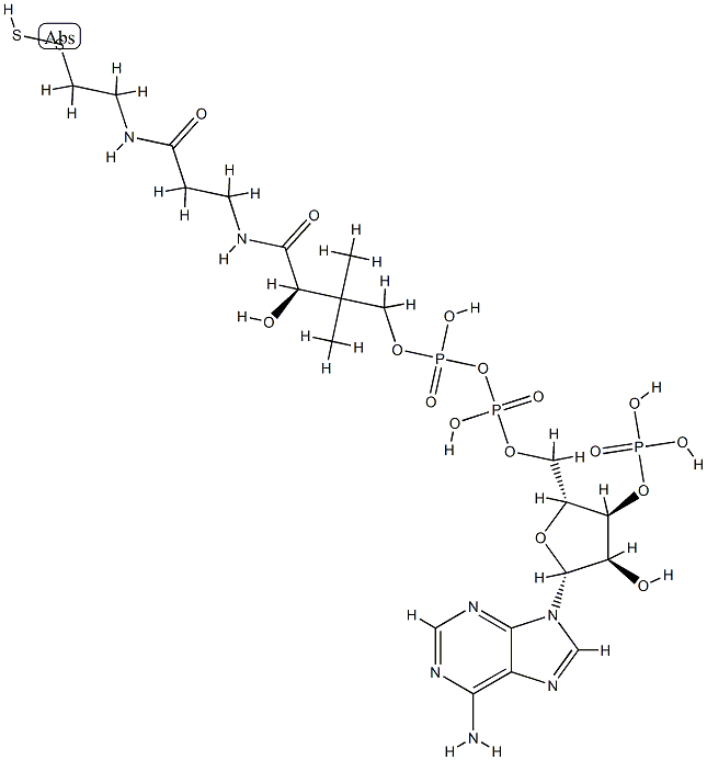 coenzyme A persulfide CAS#: 81918-99-2