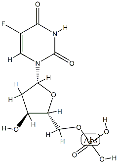 poly(5-fluoro-2'-deoxyuridylic acid) CAS#: 88410-68-8