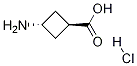 trans-3-AMinocyclobutanecarboxylic acid hydrochloride CAS#: 84182-60-5