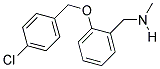 1-(2-((4-CHLOROBENZYL)OXY)PHENYL)-N-METHYLMETHANAMINE CAS#: 861225-00-5