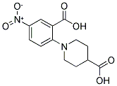 1-(2-CARBOXY-4-NITROPHENYL)-4-PIPERIDINECARBOXYLIC ACID CAS#: 886360-81-2