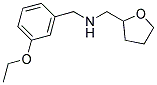 1-(3-ETHOXYPHENYL)-N-(TETRAHYDROFURAN-2-YLMETHYL)METHANAMINE CAS#: 880804-97-7