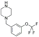 1-[3-(TRIFLUOROMETHOXY)BENZYL]PIPERAZINE CAS#: 868054-25-5