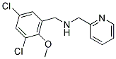 1-(3,5-DICHLORO-2-METHOXYPHENYL)-N-(PYRIDIN-2-YLMETHYL)METHANAMINE CAS#: 880809-74-5