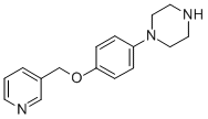 1-[4-(PYRIDIN-3-YLMETHOXY)-PHENYL]-PIPERAZINE CAS#: 862471-97-4