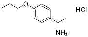 [1-(4-Propoxyphenyl)ethyl]amine hydrochloride CAS#: 860701-75-3