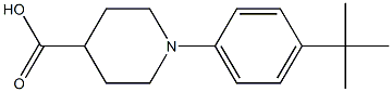 1-(4-tert-butylphenyl)piperidine-4-carboxylic acid CAS#: 847407-99-2