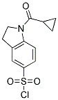 1-CYCLOPROPANECARBONYL-2,3-DIHYDRO-1H-INDOLE-5-SULFONYL CHLORIDE CAS#: 879562-21-7