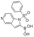 1-(Phenylsulfonyl)-1H-pyrrolo[3,2-c]pyridine-2-ylboronic acid CAS#: 877060-46-3