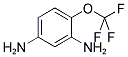 1,3-DIAMINE-4-TRIFLUOROMETHOXYBENZENE CAS#: 873055-90-4