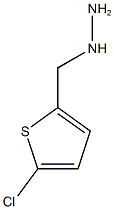 1[(5-chlorothiophen-2-yl)methyl]hydrazine CAS#: 887592-42-9