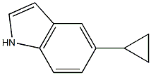 1H-Indole, 5-cyclopropyl- CAS#: 893739-92-9