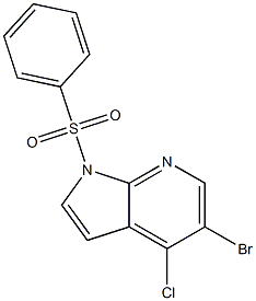 1H-Pyrrolo[2,3-b]pyridine, 5-bromo-4-chloro-1-(phenylsulfonyl)- CAS#: 876343-81-6