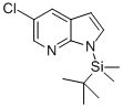 1H-Pyrrolo[2,3-b]pyridine, 5-chloro-1-[(1,1-dimethylethyl)dimethylsilyl]- CAS#: 866546-08-9