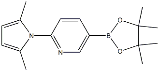 2-(2,5-diMethyl-1H-pyrrol-1-yl)-5-(4,4,5,5-tetraMethyl-1,3,2-dioxaborolan-2-yl)pyridine CAS#: 885226-07-3