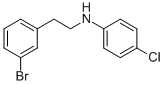 [2-(3-BROMO-PHENYL)-ETHYL]-(4-CHLORO-PHENYL)-AMINE CAS#: 885270-36-0