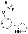 2-(3-TRIFLUOROMETHOXY-PHENYL)-PYRROLIDINE CAS#: 886502-97-2