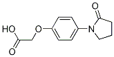2-[4-(2-Oxopyrrolidin-1-yl)phenoxy]acetic acid CAS#: 871673-06-2