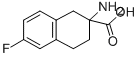2-AMINO-6-FLUORO-1,2,3,4-TETRAHYDRO-NAPHTHALENE-2-CARBOXYLIC ACID CAS#: 885274-22-6