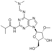 2-AMINO-N6-(DIMETHYLAMINOMETHYLIDENE)-N2-ISOBUTYRYL-2'-O-METHYLADENOSINE CAS#: 869354-83-6