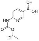 2-BOC-AMINO PYRIDINE-5-BORONIC ACID CAS#: 883231-20-7