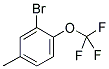 2-BROMO-4-METHYL-1-(TRIFLUOROMETHOXY)BENZENE CAS#: 887268-25-9